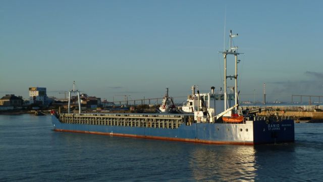 Danio - avant port - 26 juin 2012 (02).JPG